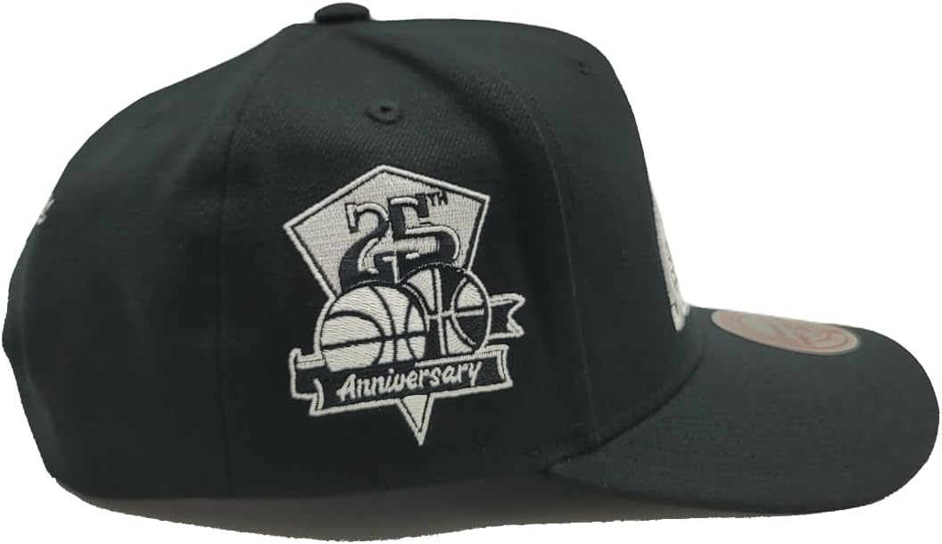 Mitchell & Ness Denver Nuggets NBA Panda Pro HWC Snapback Hat Cap - Black