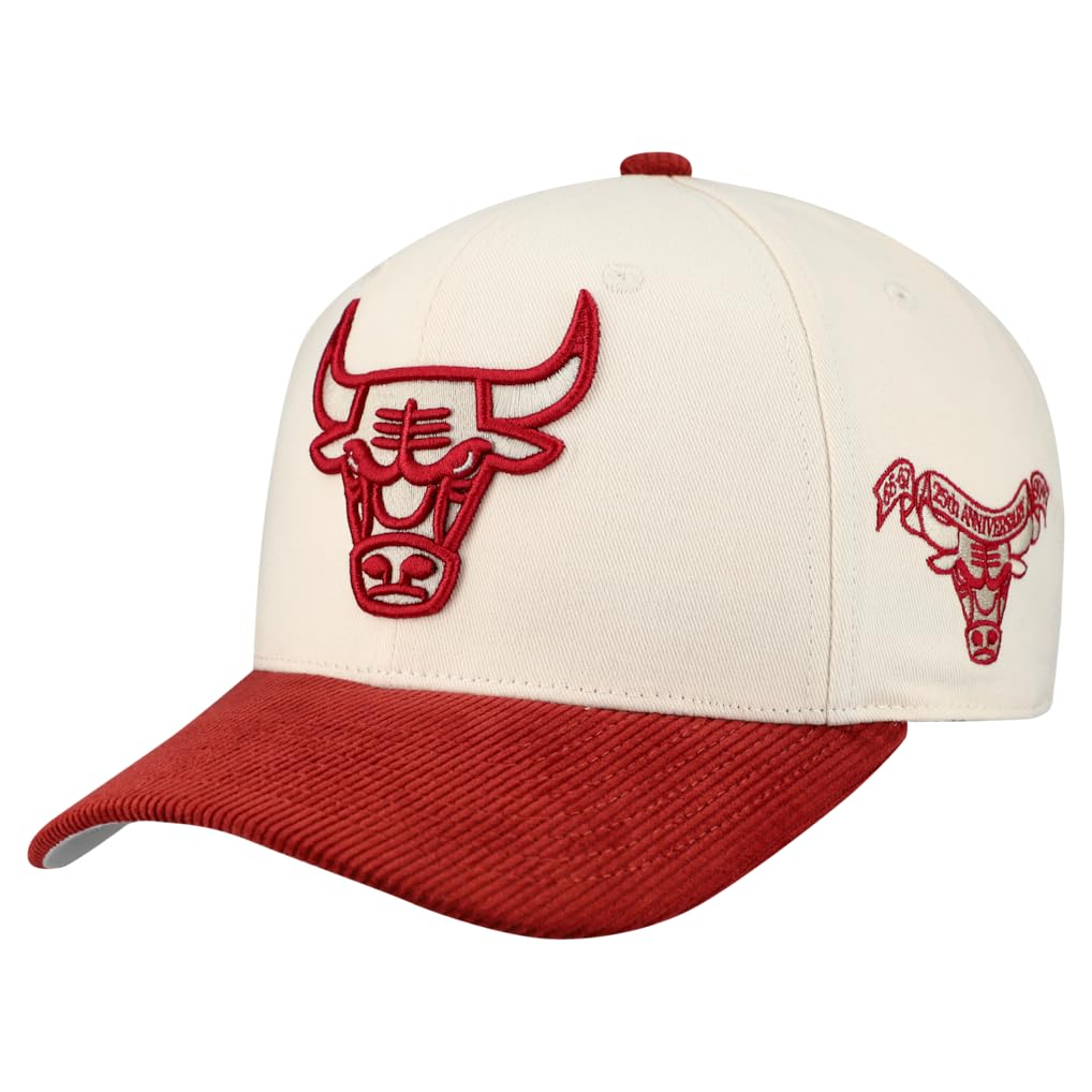 Mitchell & Ness Men's NBA Cord Pro Hat