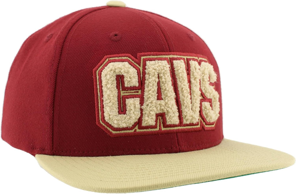 ZHATS NBA Unisex-Adult NBA Officially Licensed Adjustable Snapback Hat Flat Bill Z11 Retro Chenille