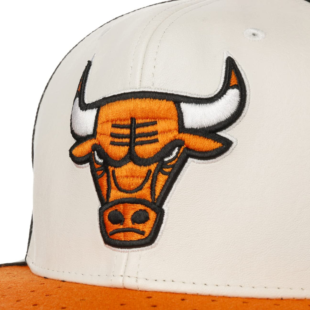 Day One Snapback Chicago Bulls