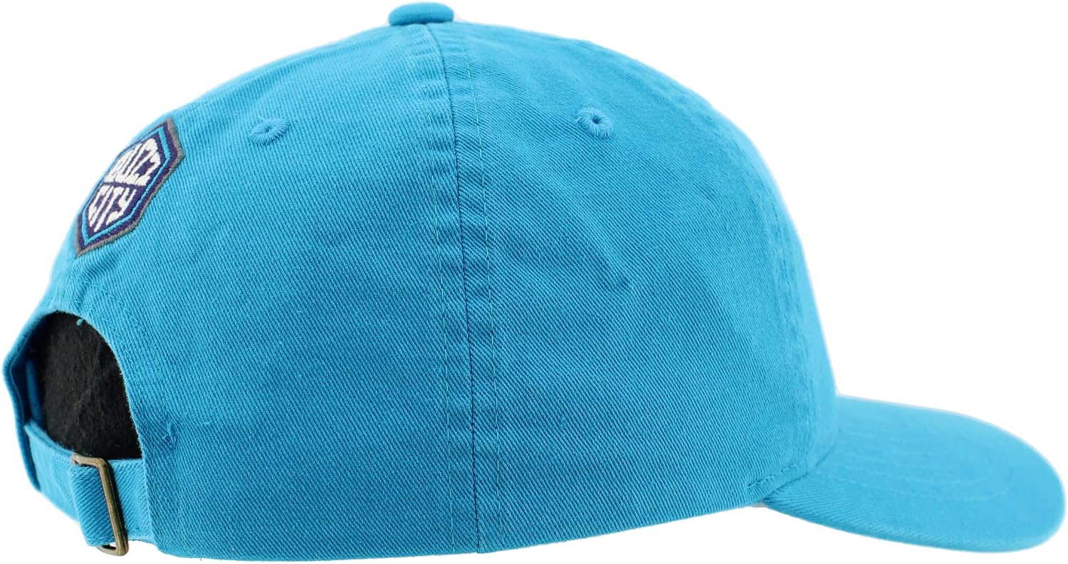 ZHATS NBA Unisex-Adult NBA Officially Licensed Adjustable Hat Scholarship Icon Team Color