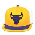 Mitchell & Ness Chicago Bulls Day One Snapback Adjustable Cap