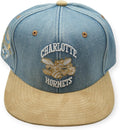 Mitchell & Ness Charlotte Hornet Side Core 2.0 Retro HWC Snapback Hat Teal - Purple