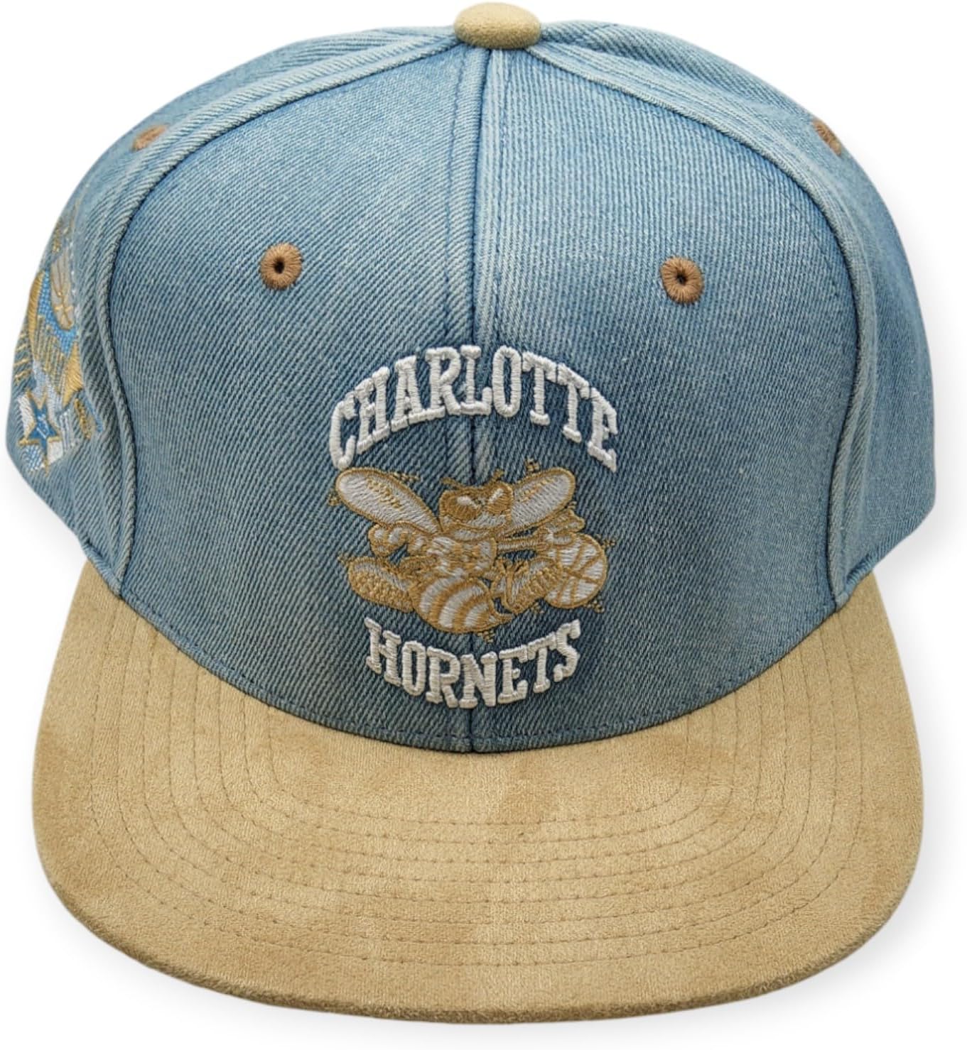 Mitchell & Ness Charlotte Hornet Side Core 2.0 Retro HWC Snapback Hat Teal - Purple