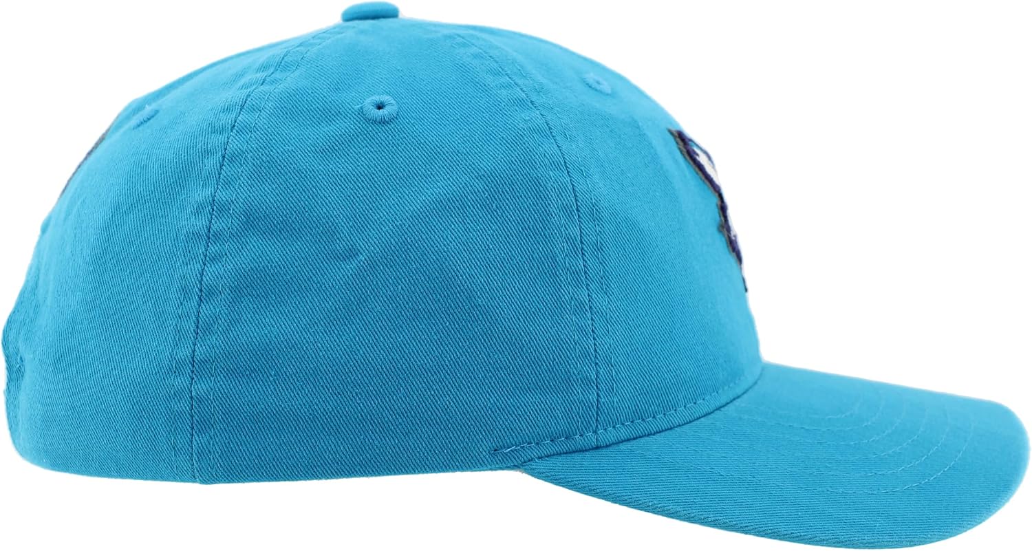 ZHATS NBA Unisex-Adult NBA Officially Licensed Adjustable Hat Scholarship Icon Team Color