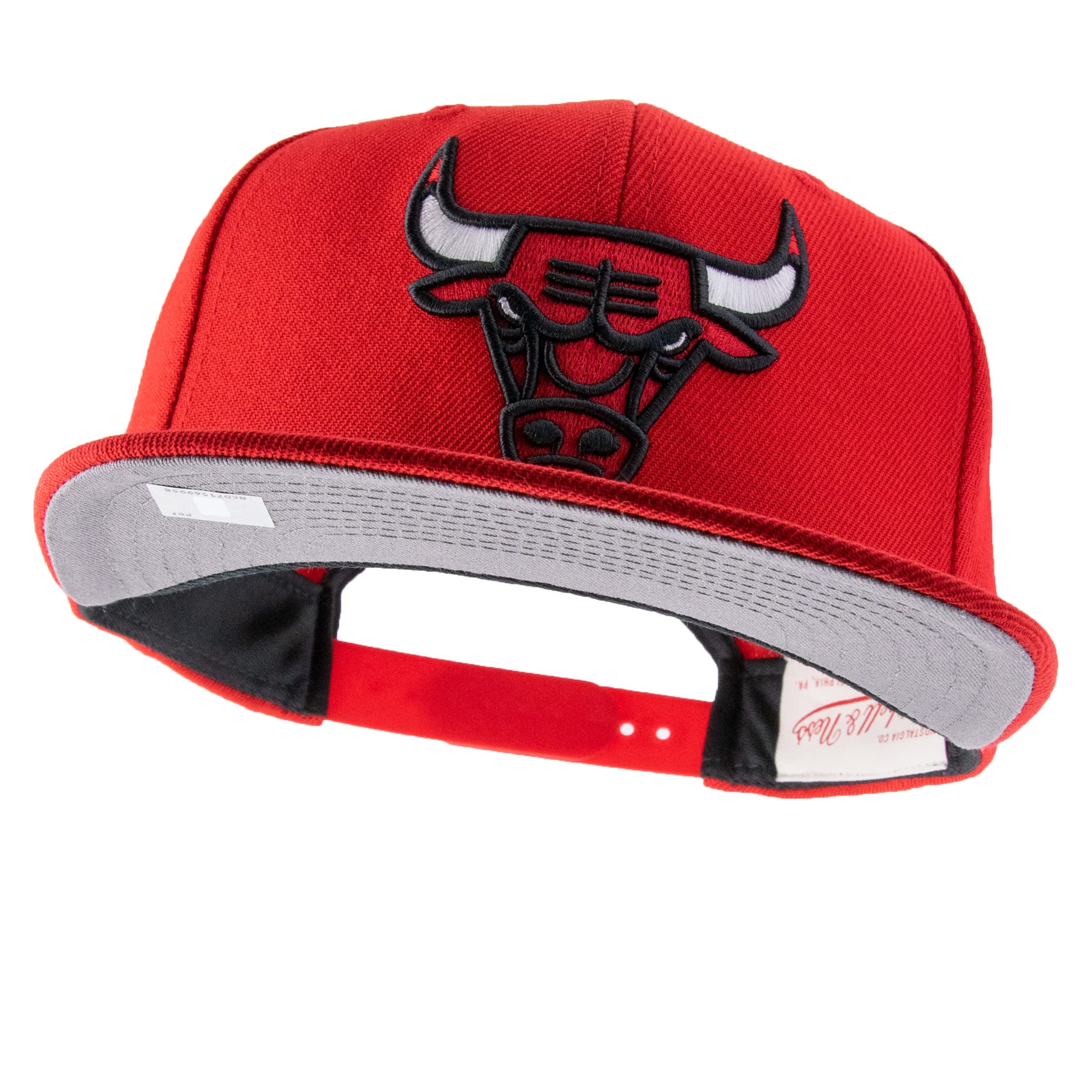 Mitchell & Ness Men's Team Ground 2.0 Snapback Cap